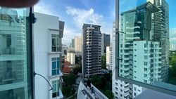 Novelis (D11), Apartment #573973841